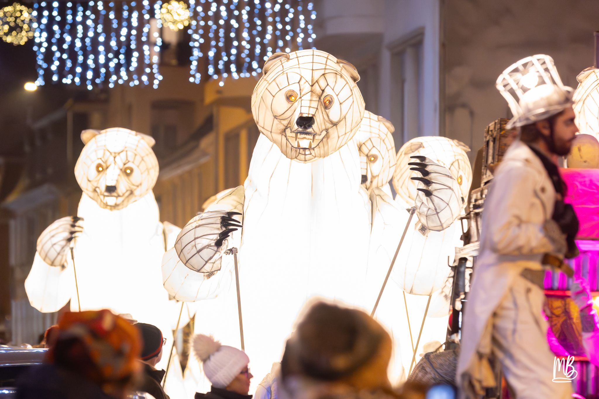 MB2024 CIE REMUE MENAGE(Gueule d'ours) (51 sur 107)